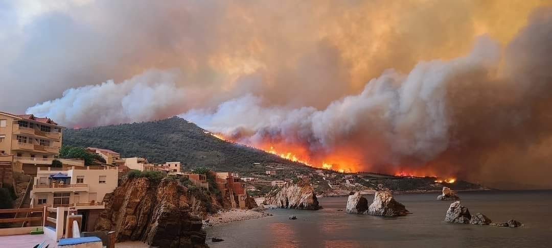 Incendies : 25 foyers enregistrés dans sept wilayas