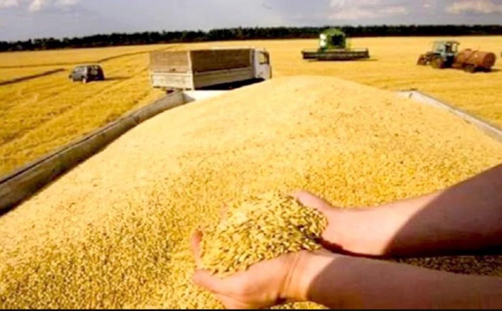 Agriculteurs sinistrés : Les assurances de Henni