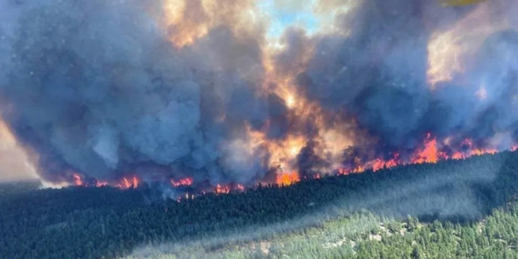 Mégafeux de forets au Canada : L’enfer sur terre depuis sept mois !
