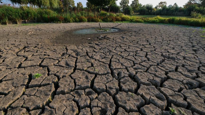 El-Niño est de retour