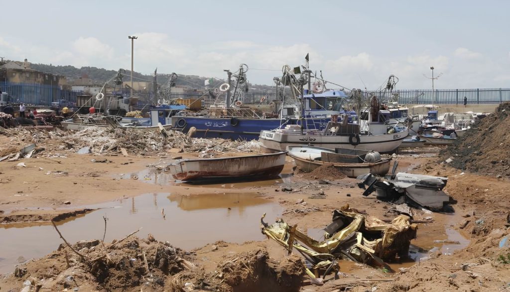 Indemnisation des pécheurs de Tipaza : 712 dossiers acceptés