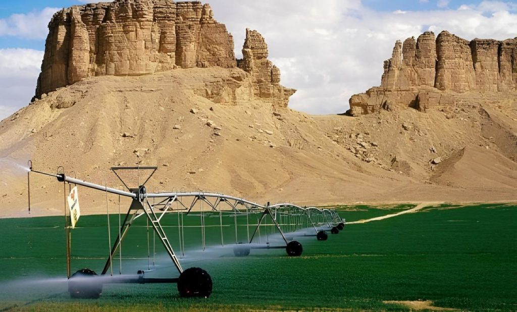 Agriculture saharienne : Les Italiens se positionnent !