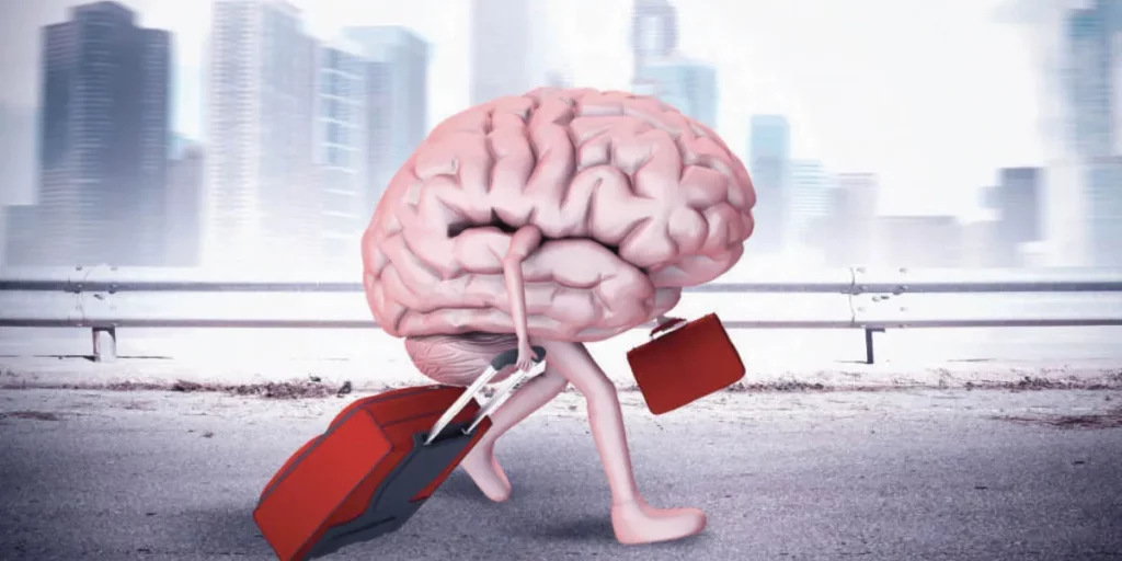 Fuite des talents numériques algériens : La CARE tire la sonnette d’alarme et préconise