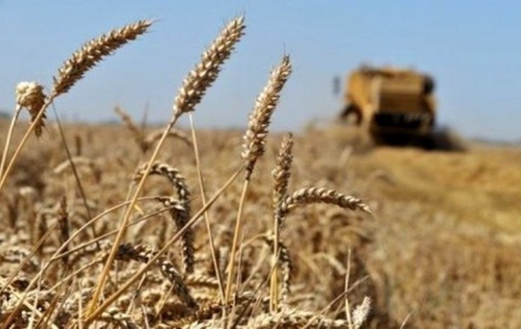 Le chef de l’État au chevet des agriculteurs sinistrés 