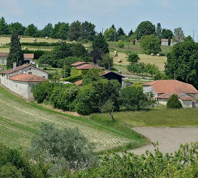 Programme de logements pour 2024 : Le logement rural se taille la part du lion