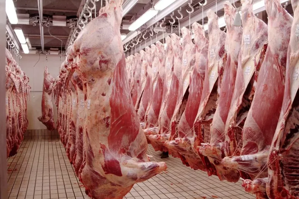 Viande rouge fraîche : L'Etat compte "inonder" la marché