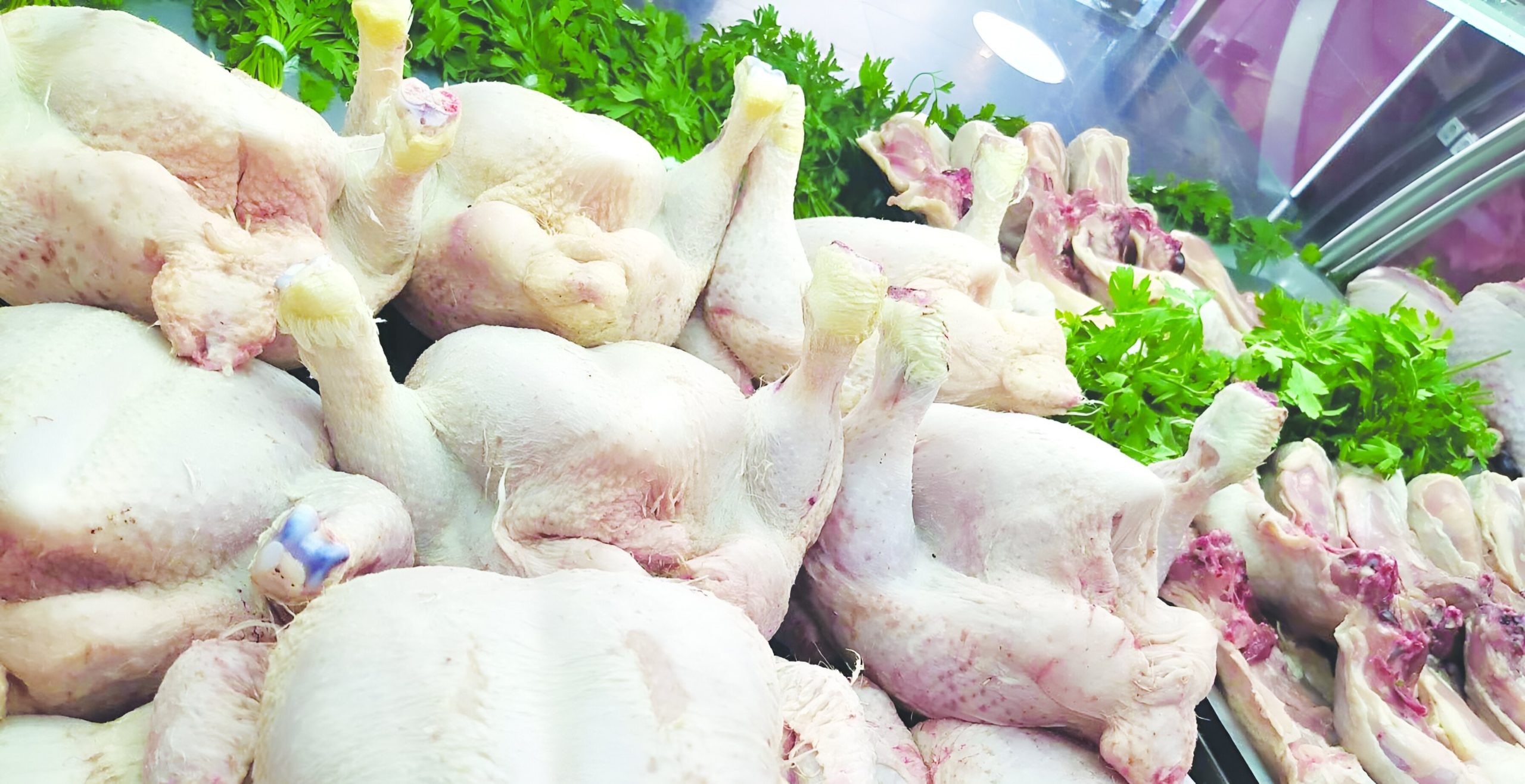 Le prix du poulet frôle les 600 DA le kilo à Ghardaïa