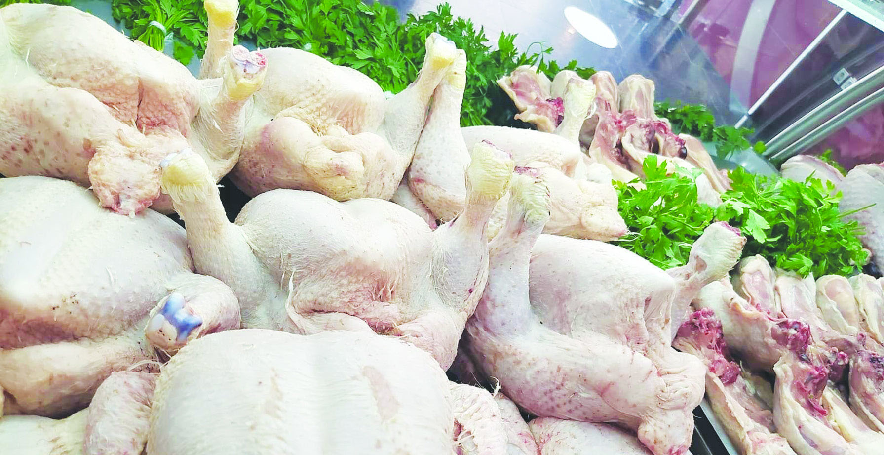 Brusque envolée du prix du poulet à Ghardaïa