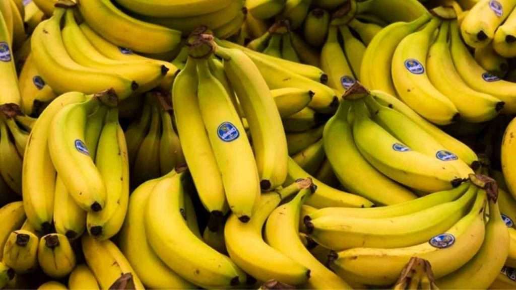 Banane : Deux opérateurs "spéculateurs" sanctionnés 