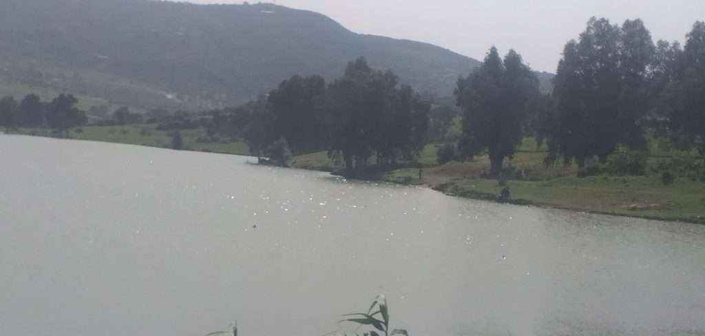 Draâ El-Mizan: Les rives du barrage comme seul exutoire pour les familles