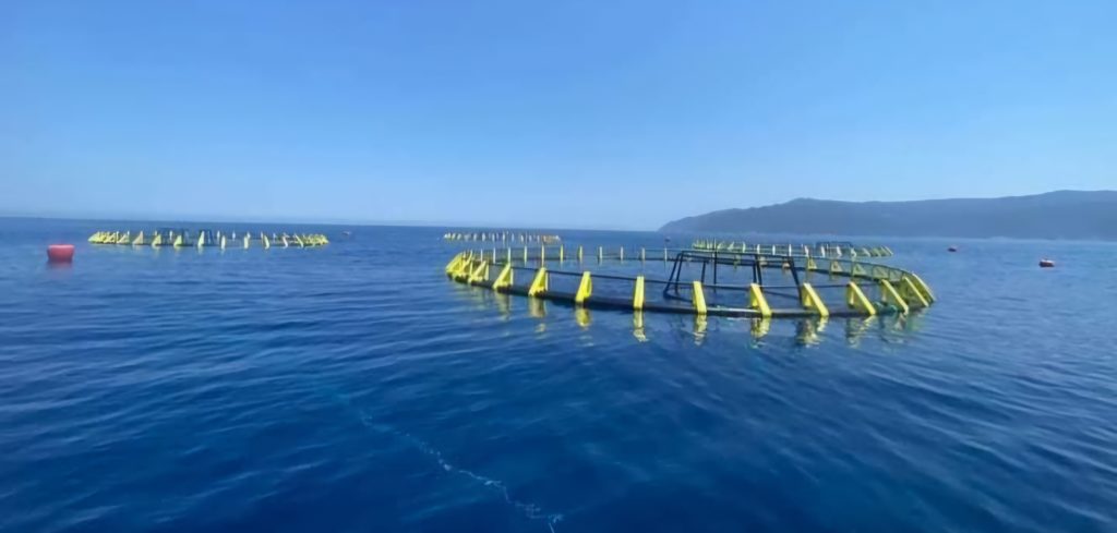 Aquaculture: Oran conforte son leadership