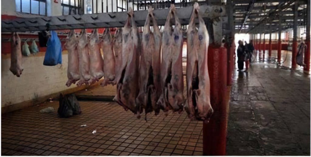 Abattoir communal ou écurie.
