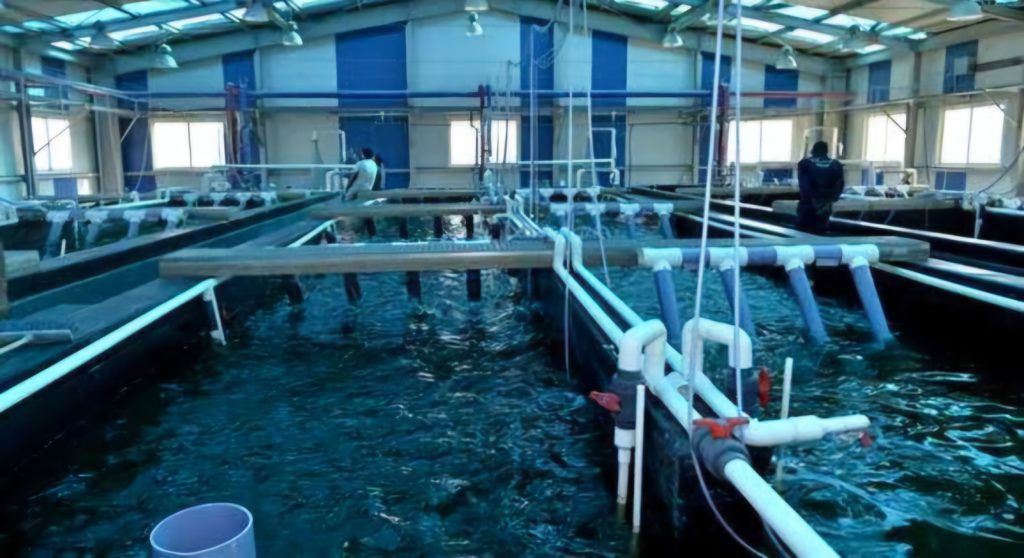 Aquaculture