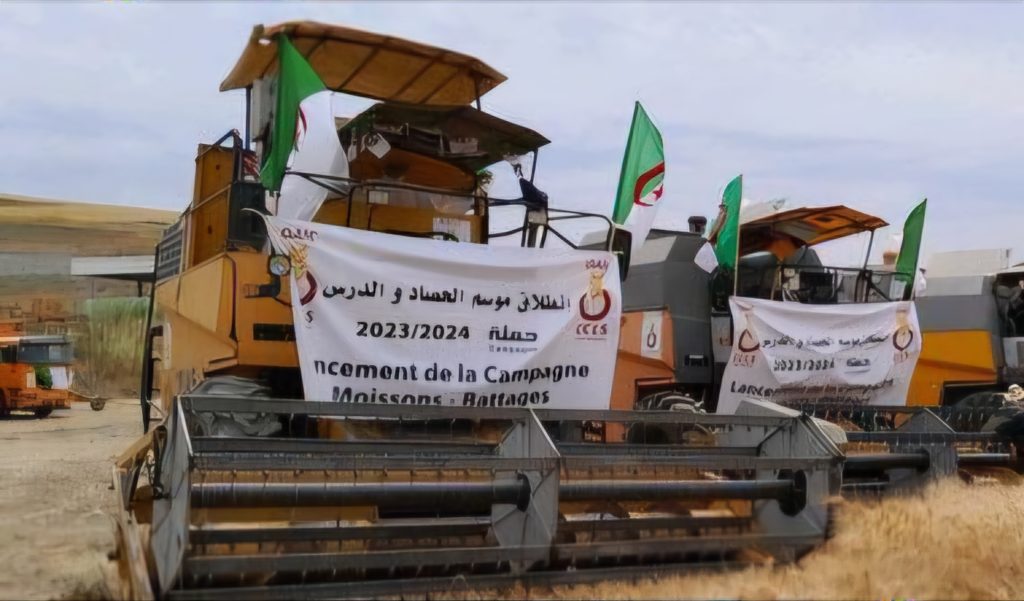 Production céréalierère à Tizi-Ouzou: Le rendement a doublé!