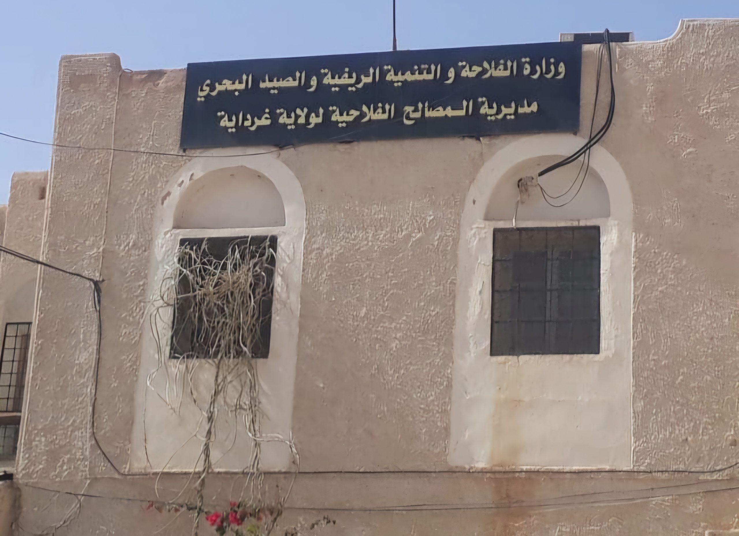Ghardaïa: 16 vétérinaires mobilisés pour l'Aïd