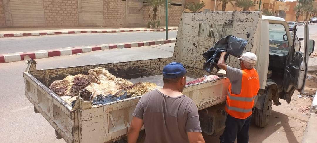 Collecte de peaux de moutons: Dans de bonnes conditions à Ghardaïa