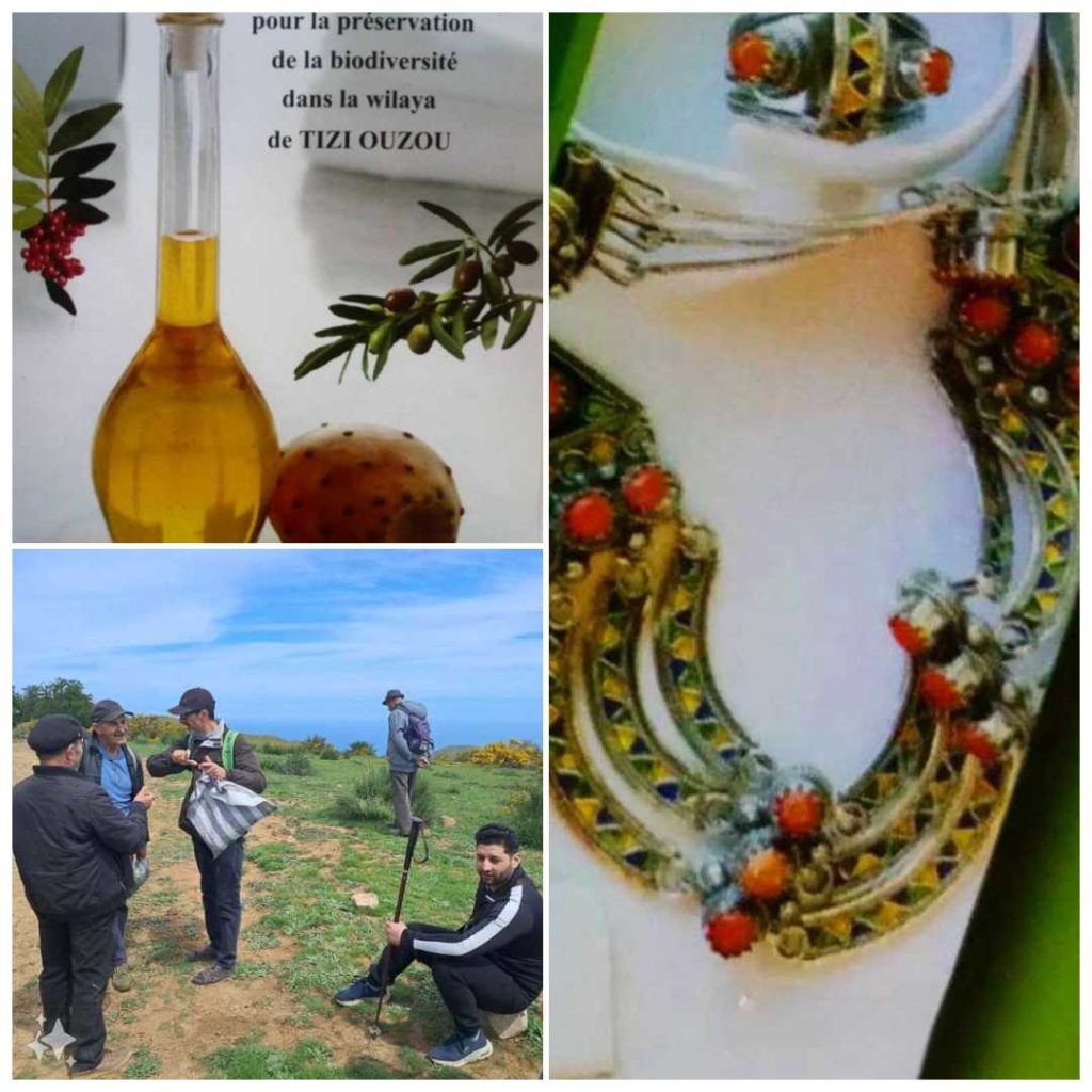 Tizi-Ouzou: Focus sur trois projets "eco-friendly"