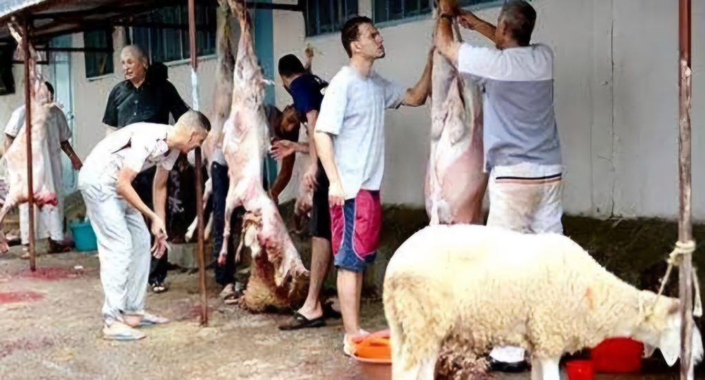 Prévention contre les zoonoses: Quid des mesures à prendre