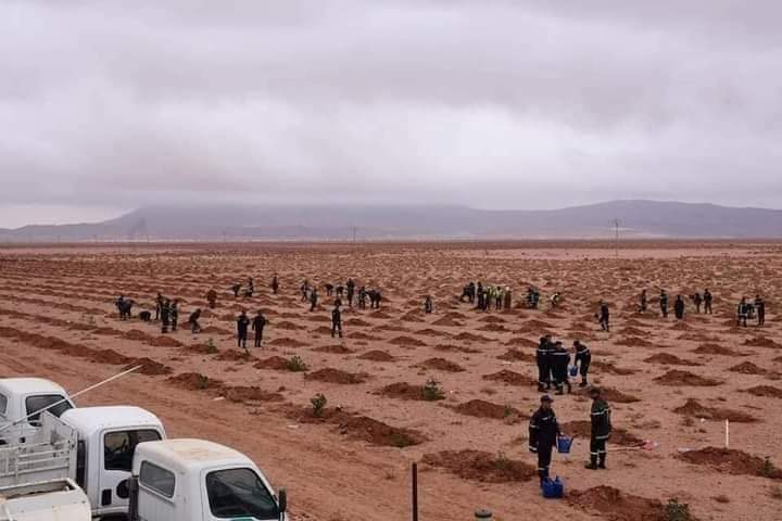 Sonatrach se met à l'écologie!