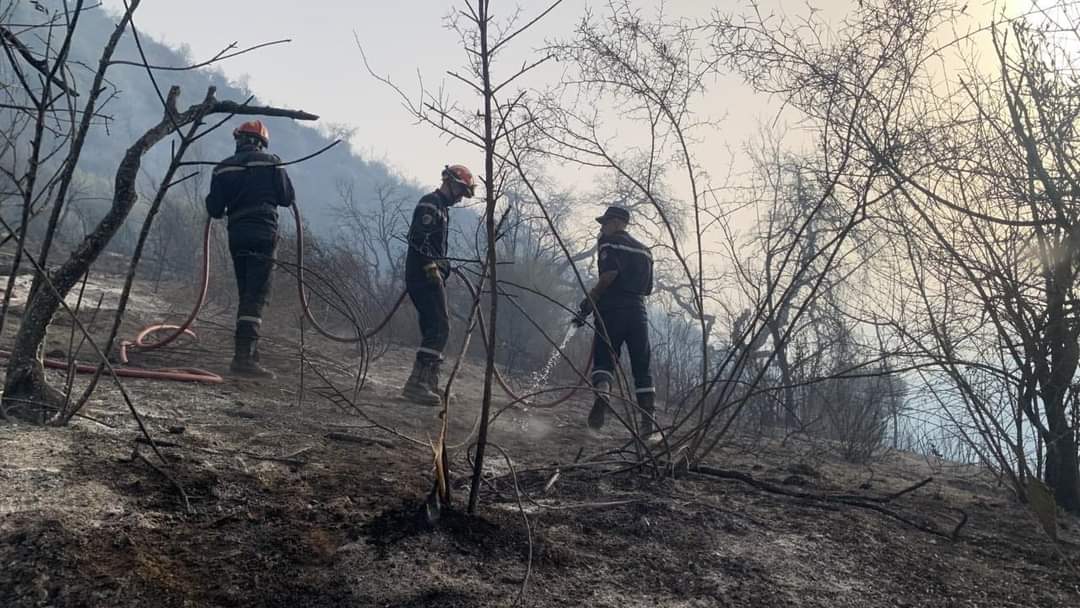 Incendies à Tizi-Ouzou: Les flammes laissent place à la désolation!