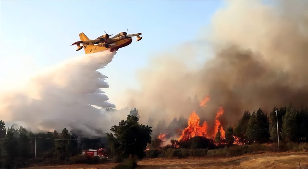 Lutte contre les incendies en Algérie : L’État aux avant-postes!