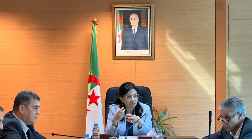 La nouvelle ministre du Commerce intérieur, Mme Amal Abdelatif, est résolument tournée vers la numérisation de son secteur et plus particulièrement le e-commerce.