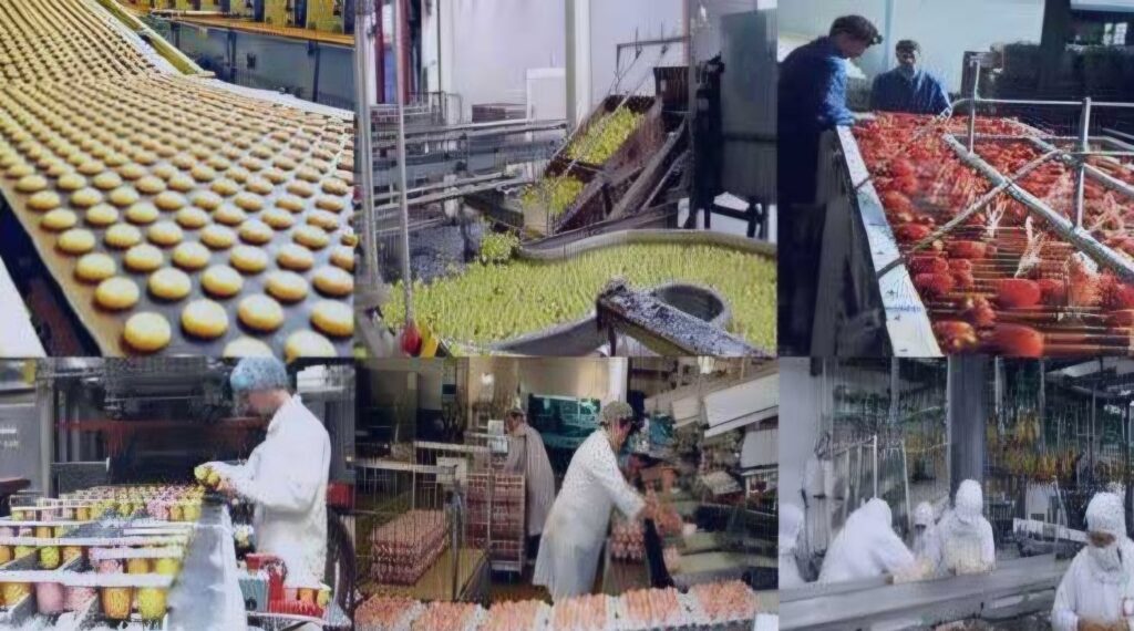 Agro-alimentaire : Plus de 300 millions de $ pour l’électrification de ces projets en Algérie L'électrification des grands projets agro-alimentaire en Algérie, est un «priorité absolue» pour les pouvoirs publics.