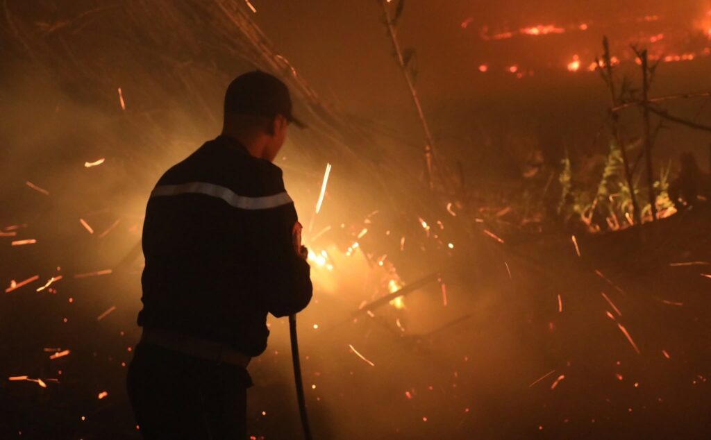 Incendies à Tipaza : Une enquête et des arrestations Les terribles incendies qui ont ravagé la wilaya de Tipaza ce week-end , ont donné lieu à l'ouverture d'une enquête et à des arrestations