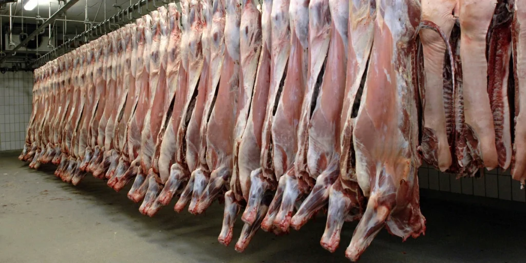 À l’approche du mois de Ramadan 2026, l'Algérie lance une importante oération d'importaion de bétails pour couvrir ses besoins en viandes