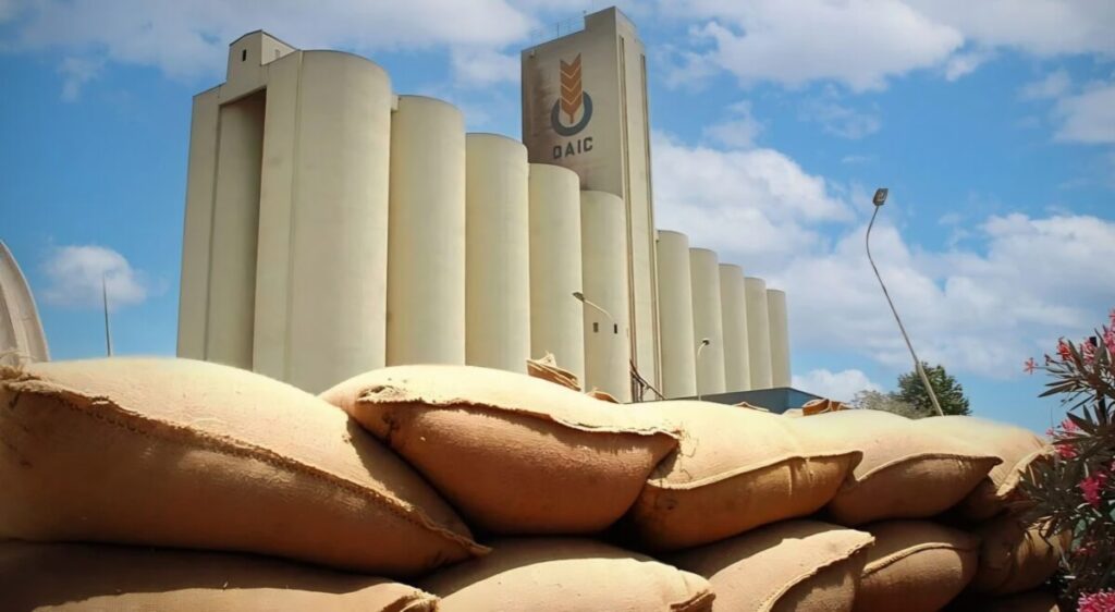 L'Algérie vient de passer une nouvelle commande de blé tendre sur les marchés internationaux, à travers l'OAIC.