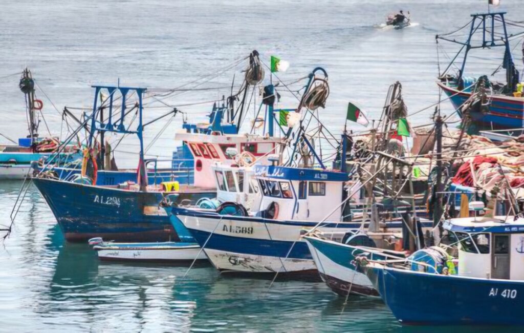 Tebboune fait de la pêche une « priorité nationale » Le secteur de la pêche en Algérie, est pour ainsi dire le « parent pauvre » de la politique du gouvernement.