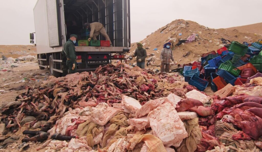 Les saisies de viande avariées destinées à la consommation se multiplient dans le sud du pays et plus particulièrement à Ghardaïa.