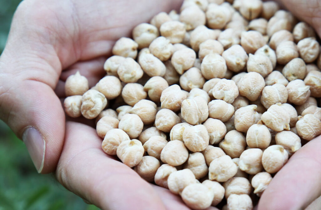 l’Algérie envisage se tourne vers le Mexique afin d'importer des pois chiches et sécuriser ses stocks de légumineuses