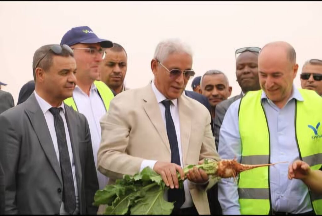 Un complexe industriel titanesque dédié à la transformation de la betterave à sucre est désormais sur de bons rails à Ghardaïa
