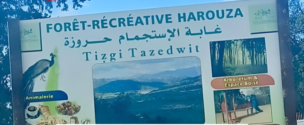 La forêt récréative Harouza de Tizi-Ouzou reste fermée depuis deux ans, privant les familles du seul espace vert de loisirs de la ville des Genêts.