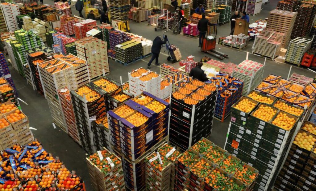 Projet de marché de gros à Alger : lancé en 2015, il reste bloqué à cause du foncier. Le gouvernement cherche des solutions pour relancer ce chantier stratégique.