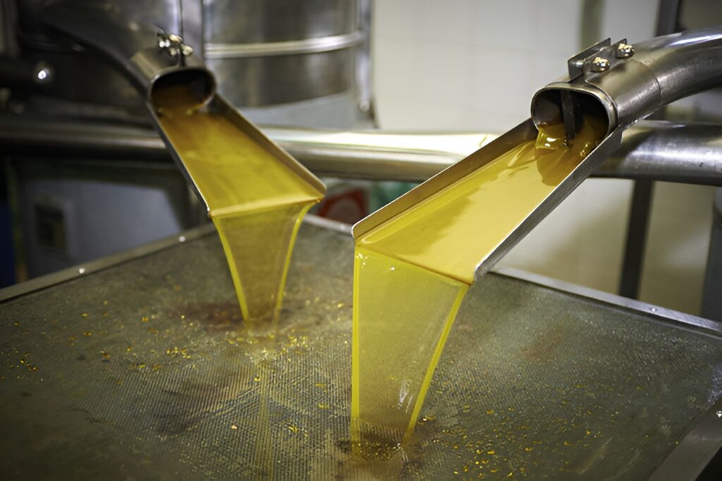 Campagne oléicole 2025/2026 : production record d’huile d’olive à Tizi-Ouzou La wilaya de Tizi-Ouzou a enregistré lors de la campagne oléicole 2025/2026 une production historique