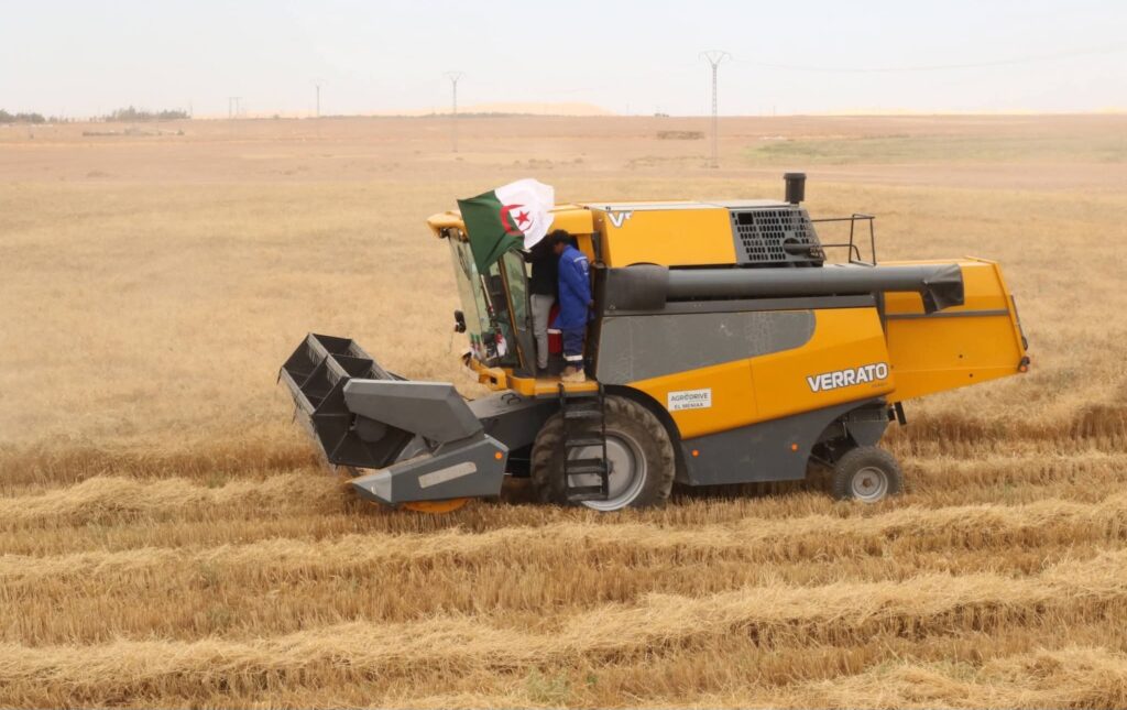 Céréaliculture : une « moisson exceptionnelle » attendue à El Menéa 2 1000150791