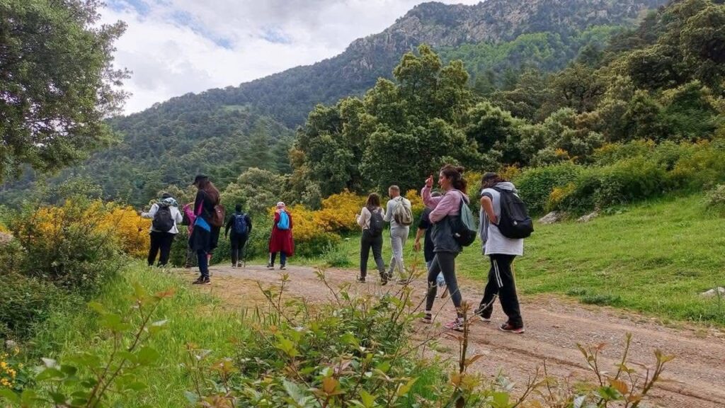 Des dizaines de groupes de randonneurs ont bravé la mesure le 15 mai dernier, interdisant toute randonnée et tout bivouac à Tizi-Ouzou