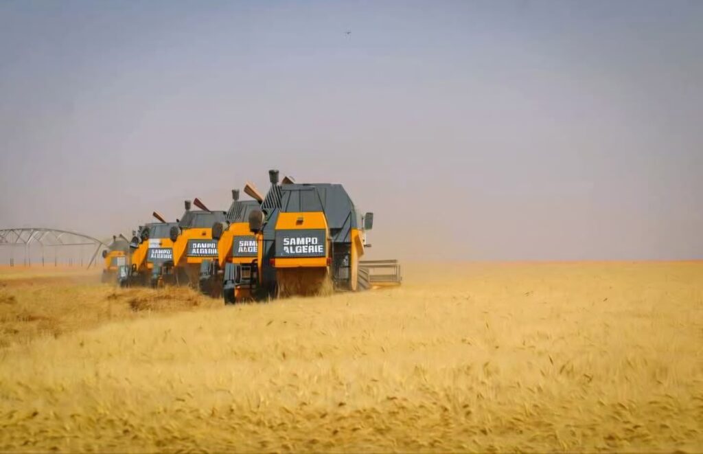 ​Véritable fer de lance de la sécurité alimentaire en Algérie, la wilaya d’El Menéa s’apprête à lancer sa campagne moisson-battage 2025/2026.