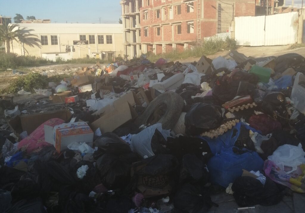 À Draâ El Mizan, ville de plus de 30 000 habitants au sud-ouest de Tizi-Ouzou, la crise des déchets ménagers a atteint un seuil critique.