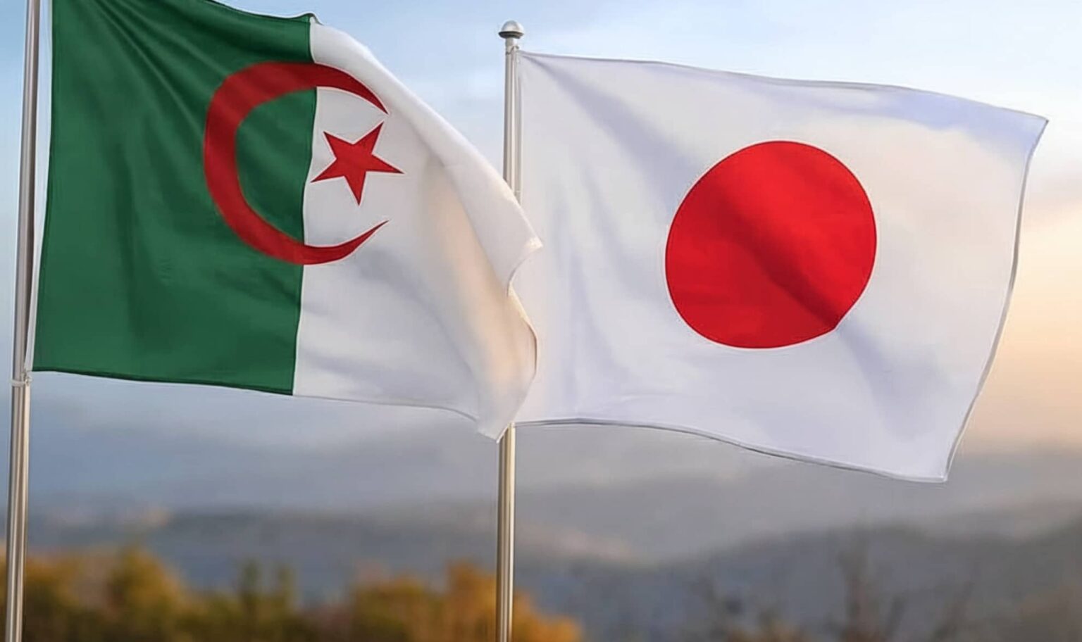 l’Algérie s’affirme progressivement comme une option stratégique pour l’approvisionnement en naphta du Japon
