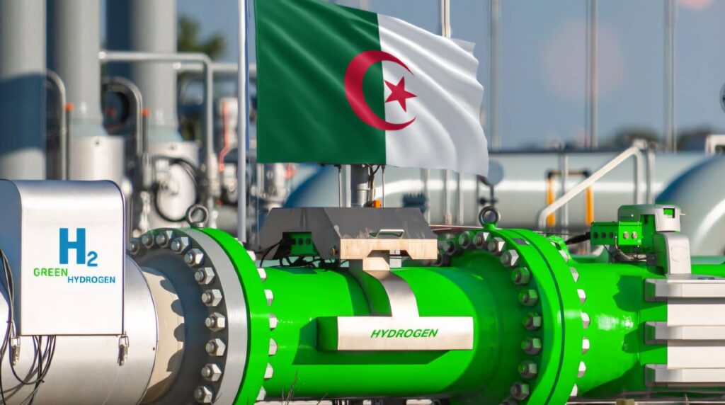 pipeline hydrogène vert Algérie Europe SoutH2"