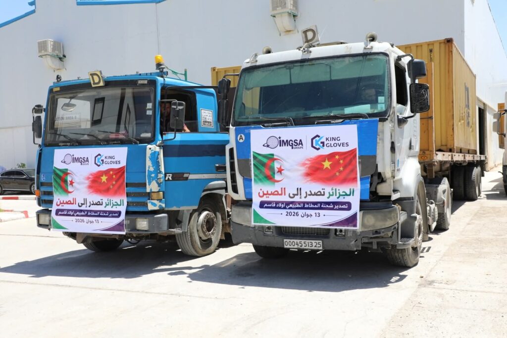 Algérie : Oum El Bouaghi exporte une cargaison stratégique vers la Chine Oum El Bouaghi : la SARL King Gloves exporte son premier caoutchouc naturel vers la Chine