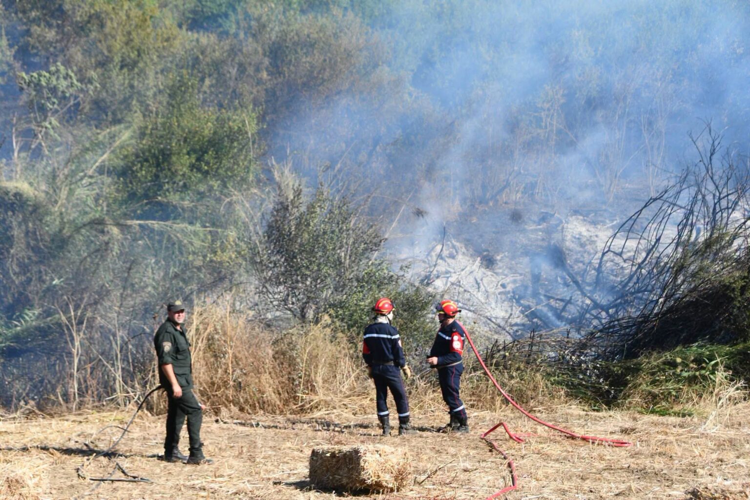 Algérie : Pas moins de 62 foyers d’incendies de récoltes enregistrés en 24 heures À Tizi-Ouzou, le retrait des décisions d'indemnisation pour les victimes des incendies a débuté. Bilan des dégâts et situation des sinistrés.