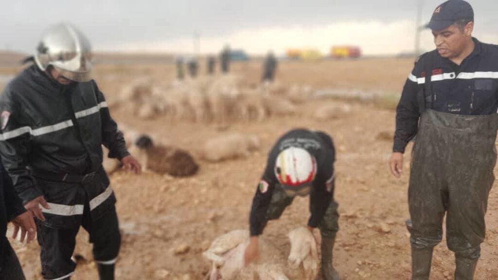 ​Un violent épisode météo a frappé de plein fouet la wilaya de Djelfa ce lundi soir.