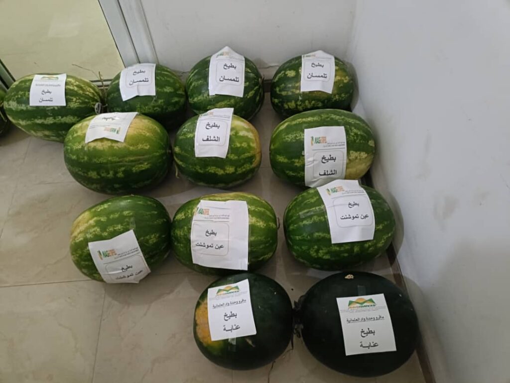 Alerte Fake News : Le ministère du Commerce rassure sur la sécurité des pastèques en Algérie 1 1000159620