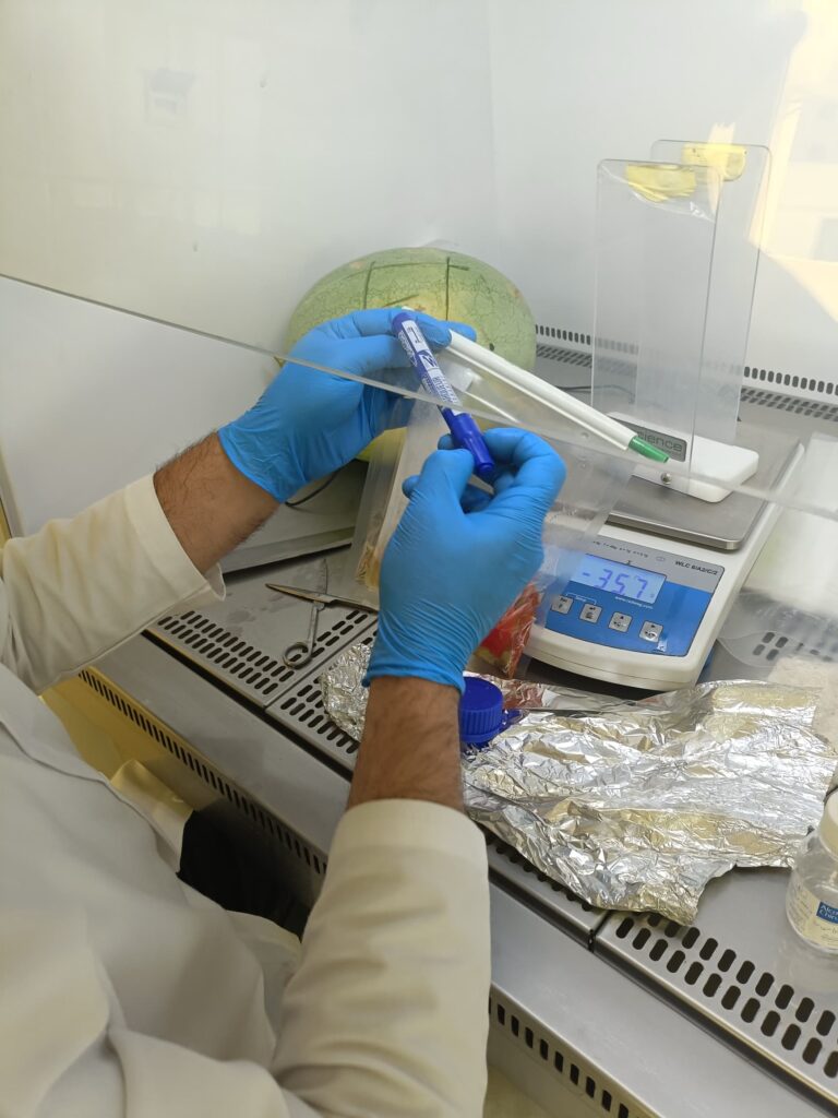 Alerte Fake News : Le ministère du Commerce rassure sur la sécurité des pastèques en Algérie 8 1000159627
