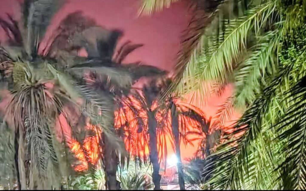 El Menéa : Un gigantesque incendie ravage les palmeraies du quartier Belbachir Grave incendie à El Menéa : le quartier de Belbachir frôle le drame. Plus de 500 palmiers et arbres fruitiers ont été calcinés.