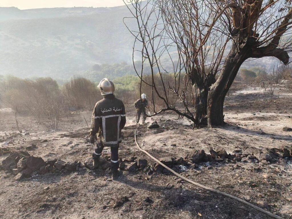 Incendies en Algérie : Guelma en proie au brasier ! ( IMAGES ) 1 1000161013